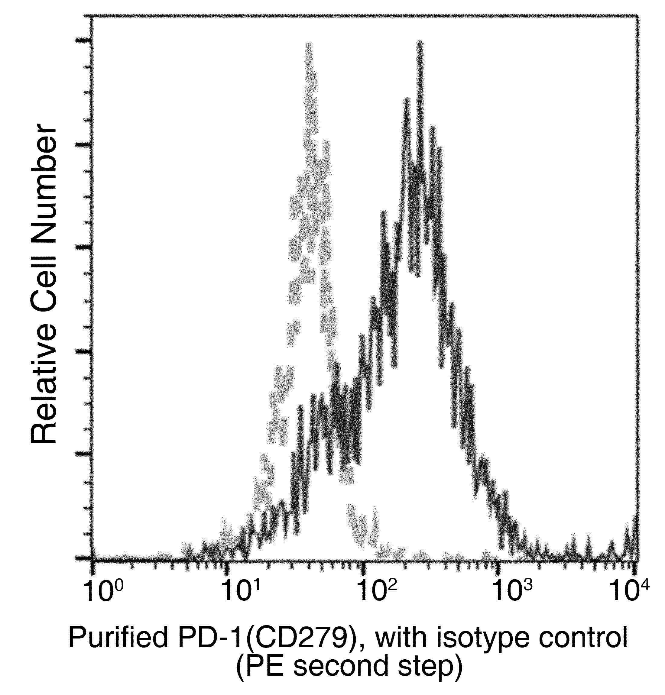 PDCD1 / CD279 / PD-1 Antibody (clone A04, Preservative Free)