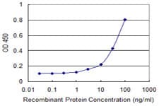 Monoclonal Mouse anti-Human PAIP1 Antibody (clone 2D11, WB)