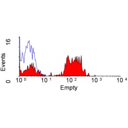 Monoclonal Rat anti-Dog CD5 Antibody (clone YKIX322.3, FITC)