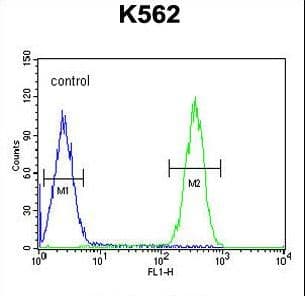 FBXW12 Antibody (aa291-320)