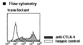 CTLA4 / CD152 Antibody (clone MIH8)