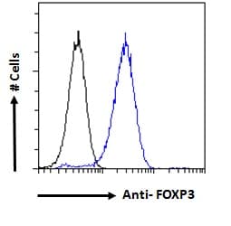 Polyclonal Goat anti-Mouse FOXP3 Antibody (aa416-427, IHC)