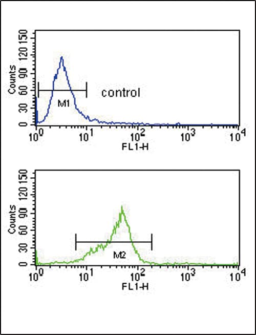 GNAO1 Antibody (aa291-320)