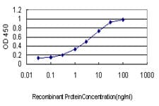 Monoclonal Mouse anti-Human MLH1 Antibody (clone M1, IF, WB)