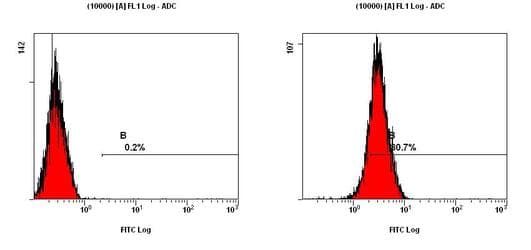 HMG1 / HMGB1 Antibody (Internal, Biotin)