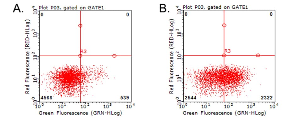 HAVCR2 / TIM-3 Antibody (clone OTI2B9)