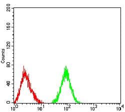 CD177 Antibody (clone 2F2C1)