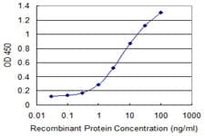 RGS14 Antibody (clone 2F8)