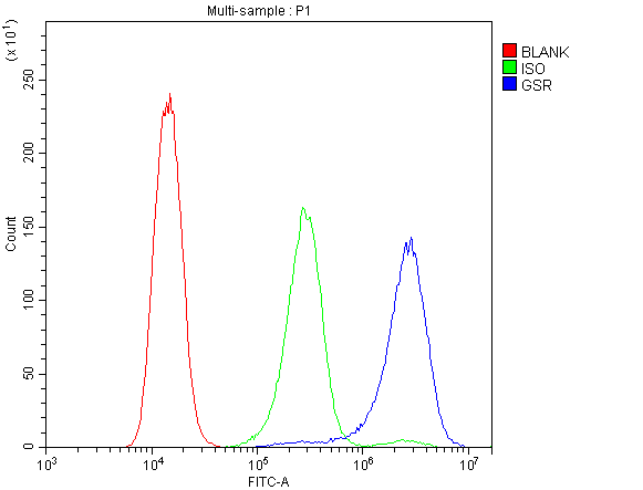 GSR / Glutathione Reductase Antibody