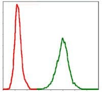 NF-L / NEFL Antibody (clone 1H3)