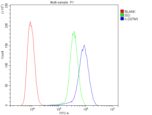 GSTM1 Antibody