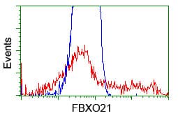 FBXO21 Antibody (clone OTI2C7)