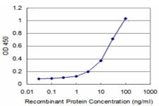 Monoclonal Mouse anti-Human NEU2 / Sialidase 2 Antibody (clone 3G9)
