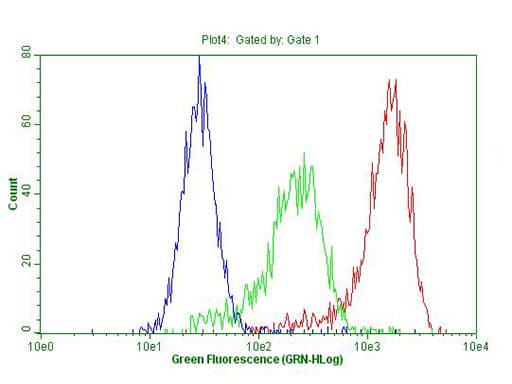 ABCB1 / MDR1 / P Glycoprotein Antibody (aa995-1280, clone OTI8D9)