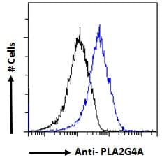 IHC-plus™ Polyclonal Goat anti-Human PLA2G4A Antibody (aa153-166, IHC, IF, WB)