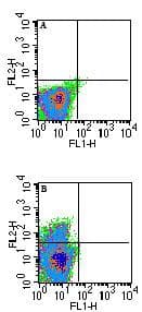 Qa-1b Antibody (clone 6A8.6F10.1A6)