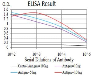 RAB8A / RAB8 Antibody (clone 7G8B11)