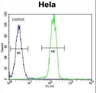PARP1 Antibody (aa183-214)