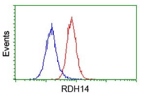 RDH14 Antibody (clone OTI1A7)