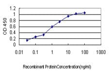 Monoclonal Mouse anti-Human F3 / CD142 / Tissue factor Antibody (clone 4G4, WB)
