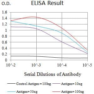 Monoclonal Mouse anti-Human LILRB5 / LIR8 Antibody (clone 6D3C8, WB)