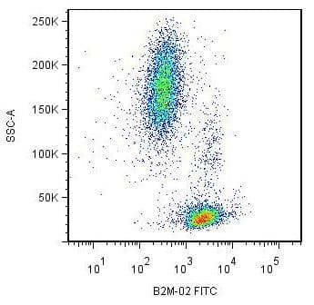 B2M / Beta 2 Microglobulin Antibody (clone B2M-02)
