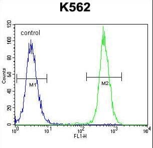 KRT25 / Keratin 25 Antibody (aa380-408)