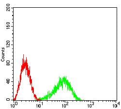 FCGRT / FCRN Antibody (clone 2B3B11)