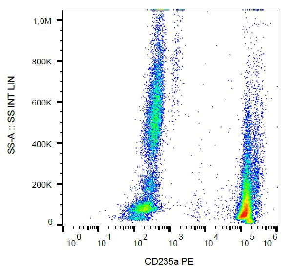 Monoclonal Mouse anti-Human GYPA / CD235a / Glycophorin A Antibody (clone JC159, PE, IHC)