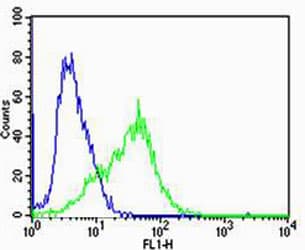 IHC-plus™ Polyclonal Rabbit anti-Human CHRNA9 Antibody (aa8-42, IHC, WB)