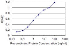 DATF1 / DIDO1 Antibody (clone 3B1)