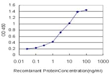 BAP29 / BCAP29 Antibody (clone 4B10)