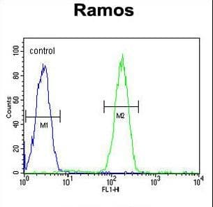 KDM3B / JMJD1B Antibody (aa869-897)