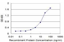 Monoclonal Mouse anti-Human ACTRIIB / ACVR2B Antibody (clone 1C11, WB)