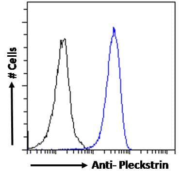 IHC-plus™ PLEK / Pleckstrin Antibody (aa337-350)