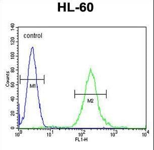 SOS2 Antibody (aa188-215)