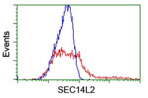 IHC-plus™ SEC14L2 Antibody (clone 4H2)