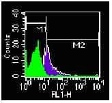 TLR4 Antibody (clone HTA125)