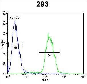 MYC / c-Myc Antibody (Ser62)
