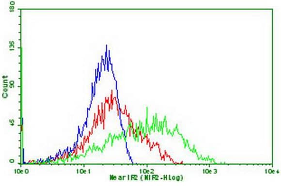 PDCD1 / CD279 / PD-1 Antibody (clone OTI27G3)