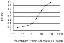 ETK / BMX Antibody (clone 3G3)
