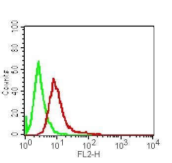 VISA / MAVS Antibody