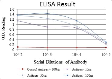 ADRBK1 / GRK2 Antibody (clone 3F8)