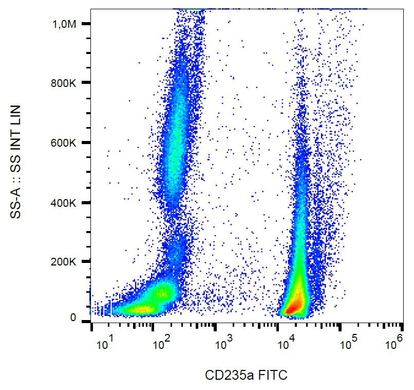 GYPA / CD235a / Glycophorin A Antibody (clone JC159, FITC)