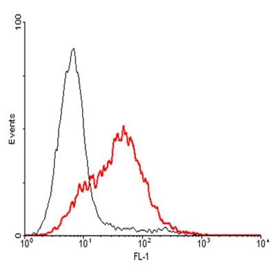 TNFRSF18 / GITR Antibody (clone AIT 158D)