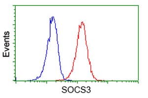 SOCS3 Antibody (clone OTI3D3)