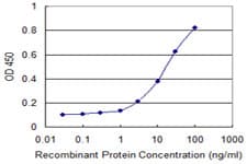 Monoclonal Mouse anti-Human IRF3 Antibody (clone 3C8, IF, WB)