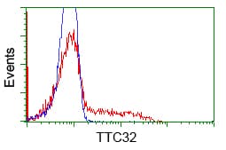 TTC32 Antibody (clone OTI5C12, Carrier-free)