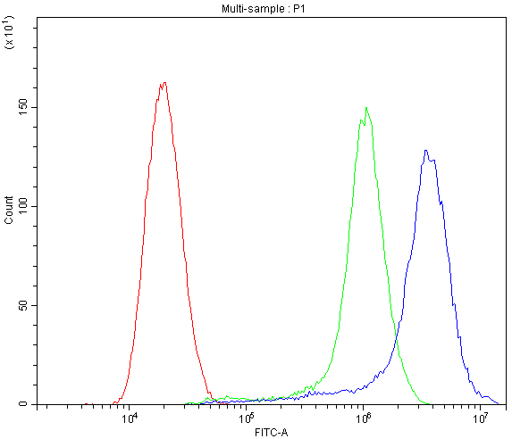 ATG14 Antibody (aa70-101)