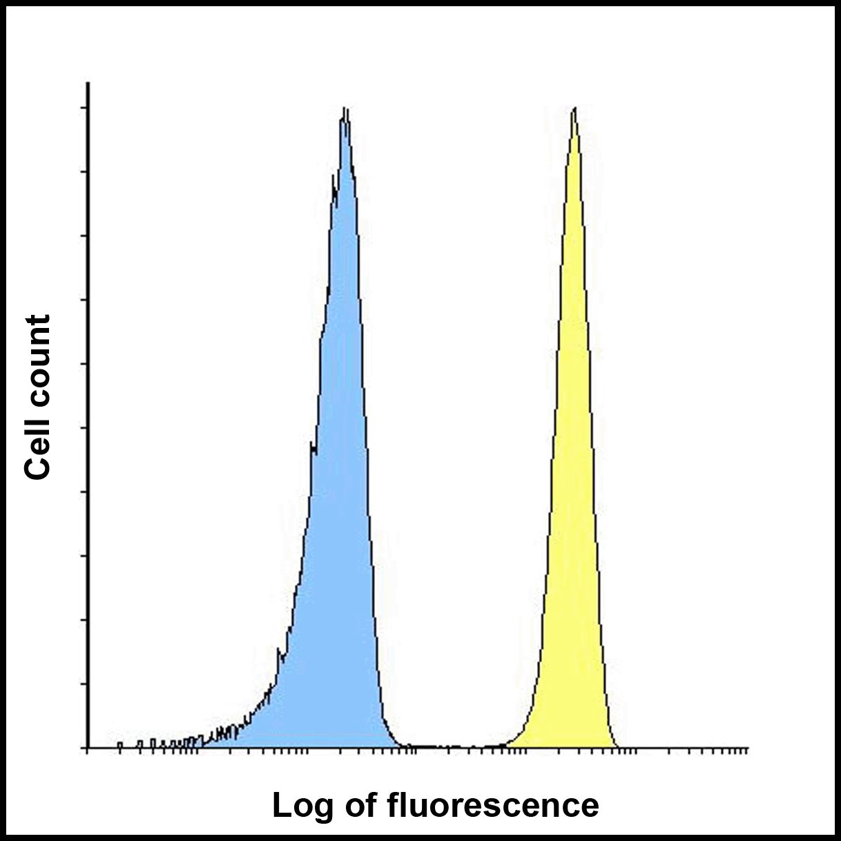 CD276 / B7-H3 Antibody (clone 2H5)